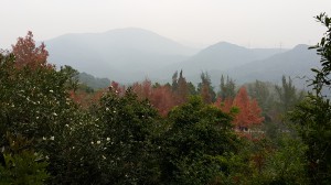 20141223_155918