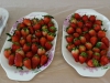img-20150328-wa0035