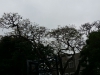 img-20150425-wa0006